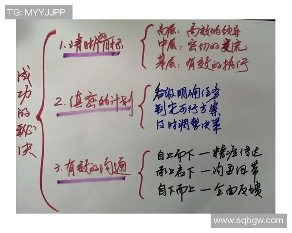 杨强专访揭秘排球成功背后的秘诀与团队精神