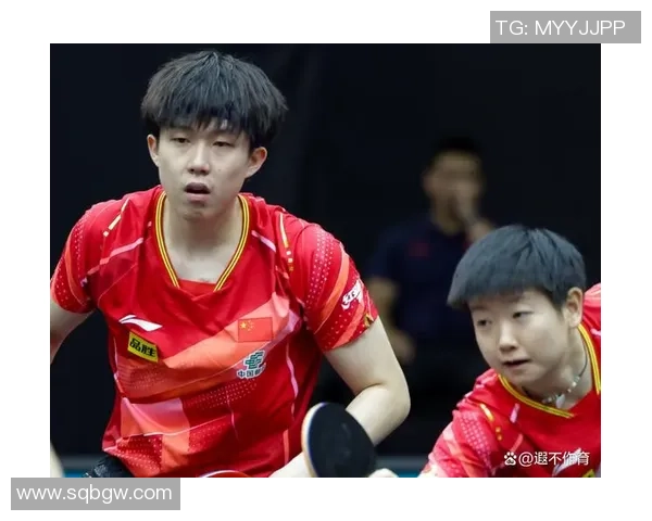 深入探讨上海乒乓球队比赛经验与表现的关系及其数据分析结果