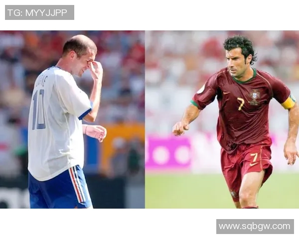 足球明星思丹的传奇故事与辉煌成就揭秘