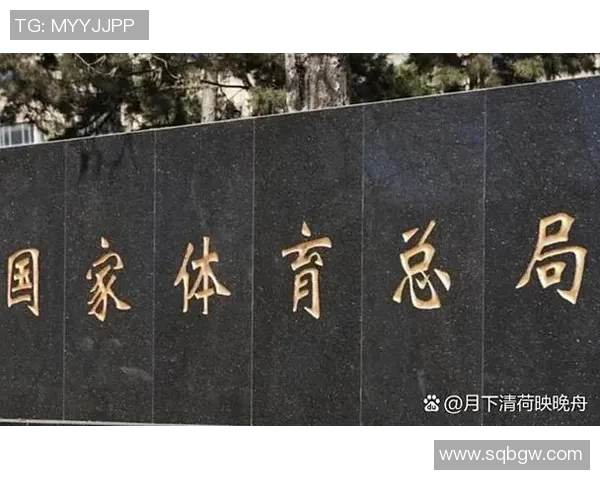 数据分析：深圳排球队的实力表现