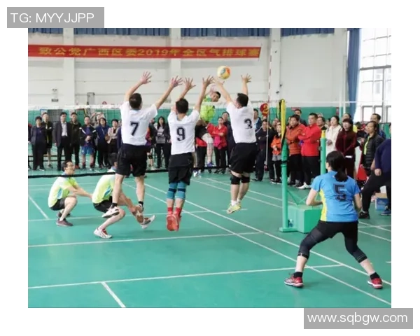 杨军专访：回顾排球历程